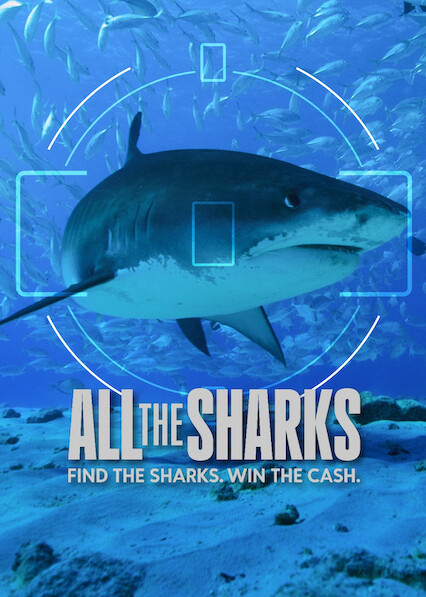 All the Sharks 2025
