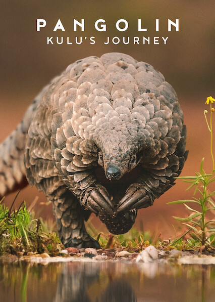 Pangolin: Kulu’s Journey 2025
