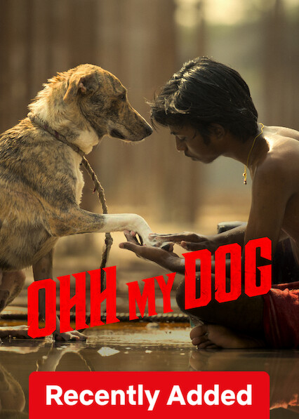 Ohh My Dog 2026