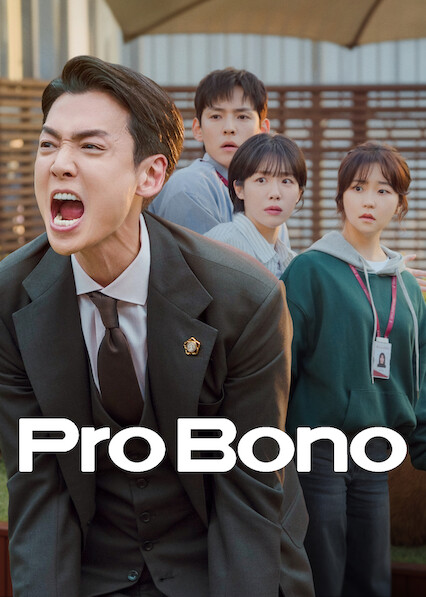 Pro Bono 2025